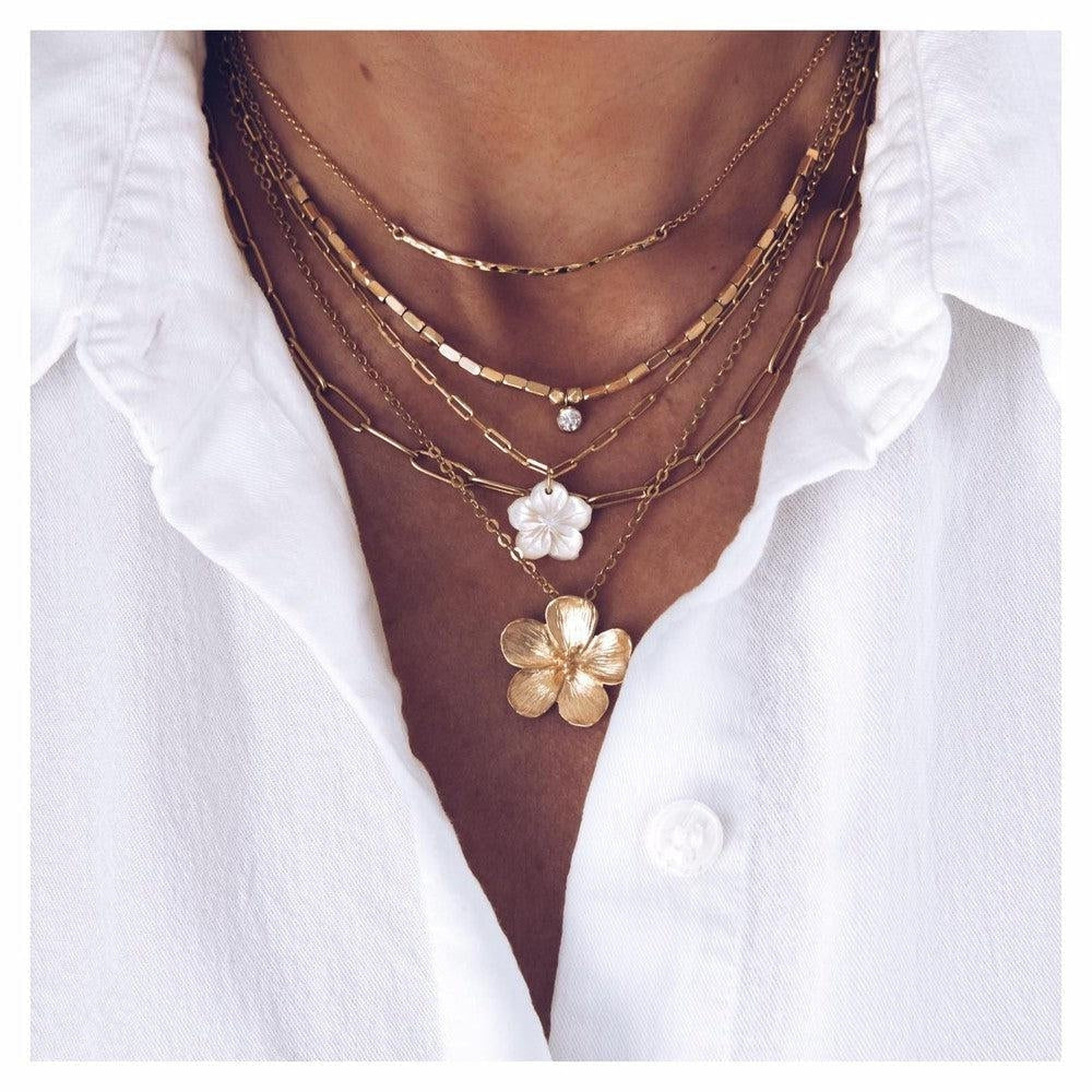 Porter le meme collier tous les jours ? (mis a jour en 2024)-9avril